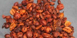 Malkangni Seeds