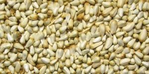 Safflower Seed