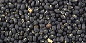 Black Urad Dal