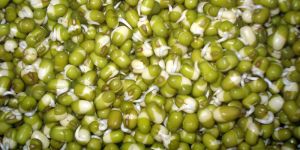 Green Moong Dal
