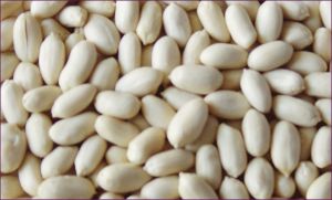 Blanched Peanuts
