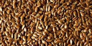 Flax Seeds