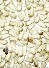 Safflower Seed