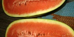 Fresh Watermelon