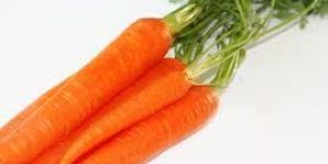 Carrot