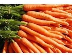 Fresh Carrots