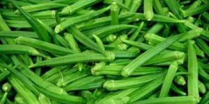 Fresh Okra