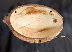 Coconut Shell Bird Feeder