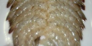 Frozen Vannamei Shrimp Tails