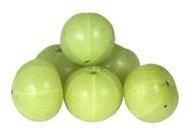 Amla