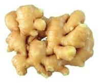 Fresh Ginger
