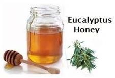 Eucalyptus Honey