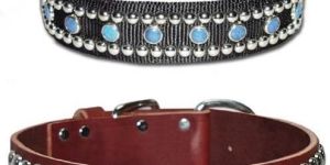 Leather Dog Collars