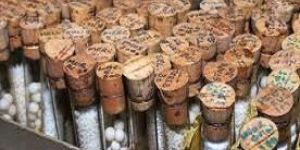 Homeopathic Medicines Were