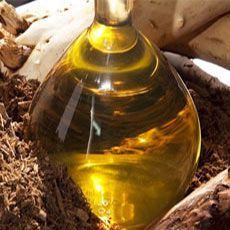 Sandalwood Oil