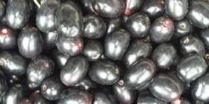 Fresh Jamun