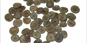 Strychnos Nux Vomica