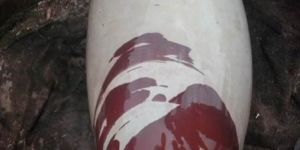 Narmada Shivling Stone