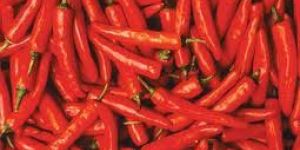 Red Chilly