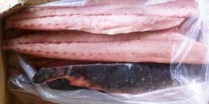 Frozen Mahi Mahi Fish