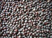 Agro Seeds Black Mustard