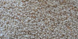Hulled Sesame Seeds