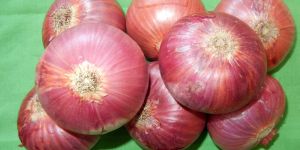 Red Onions