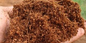 Coir Pith