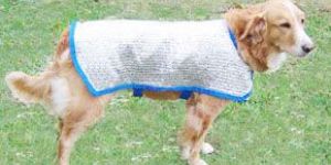 COOL DOG COAT