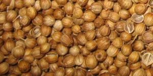 Coriander Seeds