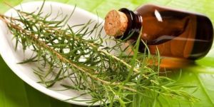 Tea Tree Oil Aroma