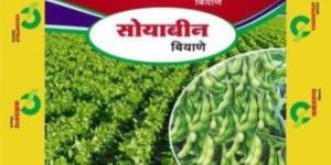 Soyabean Packing Sacks