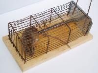 Rat Trap