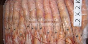 Frozen Argentine Red Shrimp