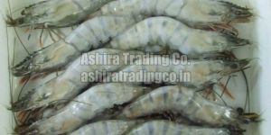 Frozen Black Tiger Shrimps