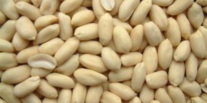 Roasted Groundnut Seeds