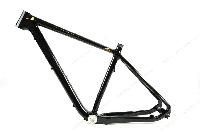 Mountain Bike Frame