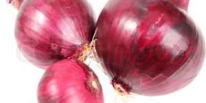Indian Red Onion