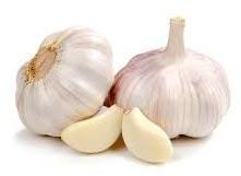 Fresh Garlic