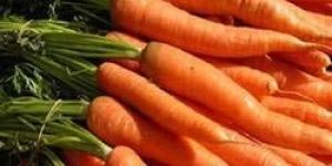 Fresh Carrot