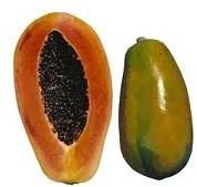 Fresh Papaya