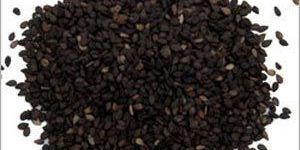 Black Sesame Seeds
