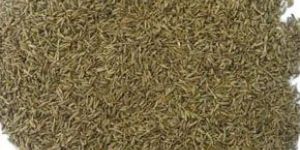 Cumin Seeds