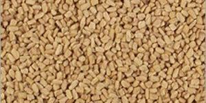 Fenugreek Seeds