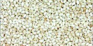 White Sesame Seeds