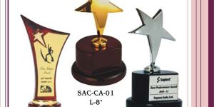 Corporate Award and Trophy