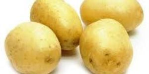 Fresh Potato