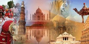 Tour and Travel Services