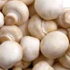 Fresh Button Mushroom