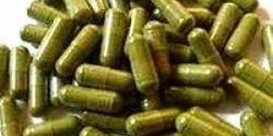 Moringa Capsules